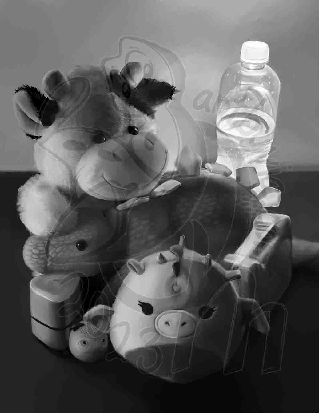 Stuffie Still Life